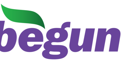 Begun, логотип